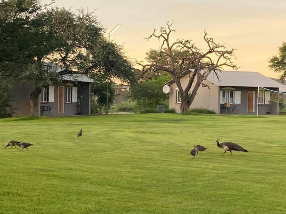 Out Of Nature Country Lodge Windhoek Exterior photo